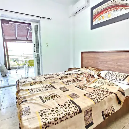 - 5 Beautiful Flogita